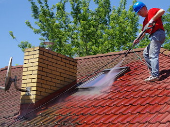 Roof Algae in East TN: How Gloeocapsa Magma Damages Shingles (and How Soft Wash Fixes It)